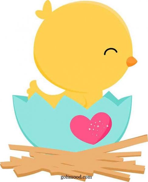  عکس جوجه کیوت