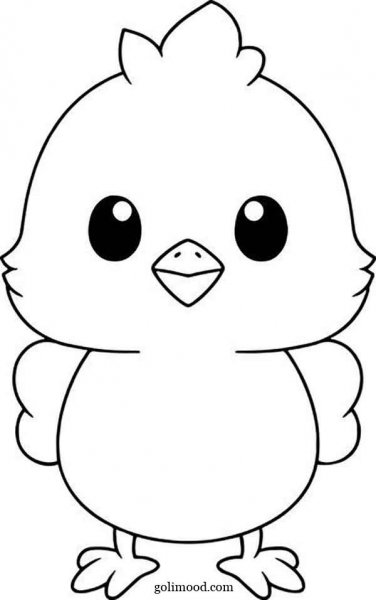  عکس جوجه کیوت