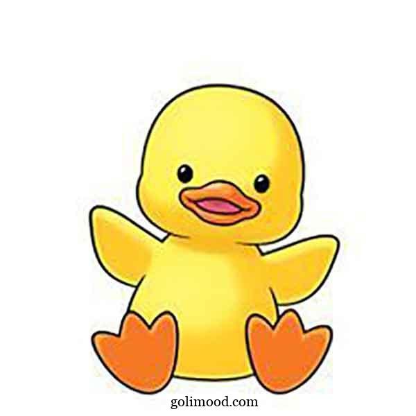  عکس جوجه کیوت