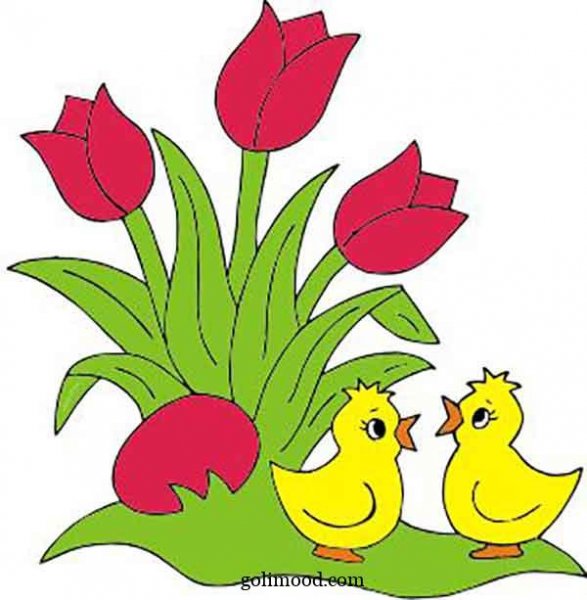  عکس جوجه کیوت