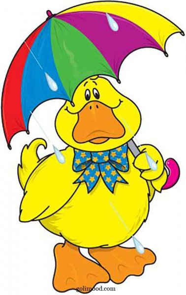  عکس جوجه کیوت