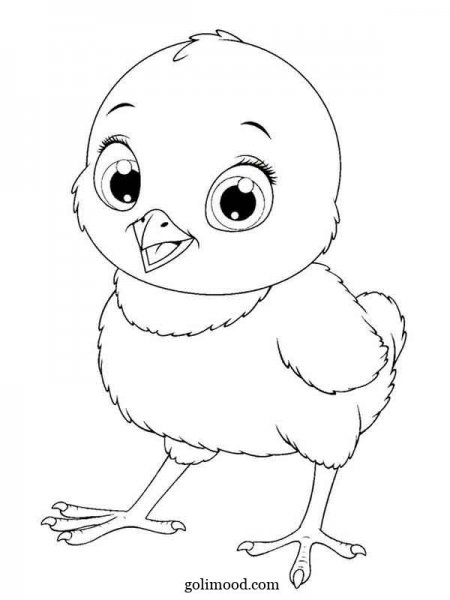  عکس جوجه کیوت