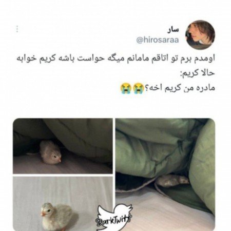  عکس جوجو برای پروفایل