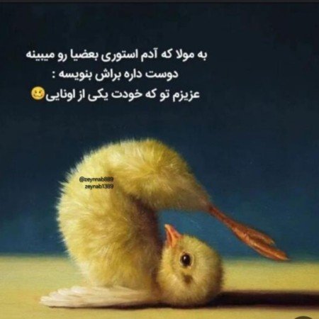  عکس جوجو برای پروفایل