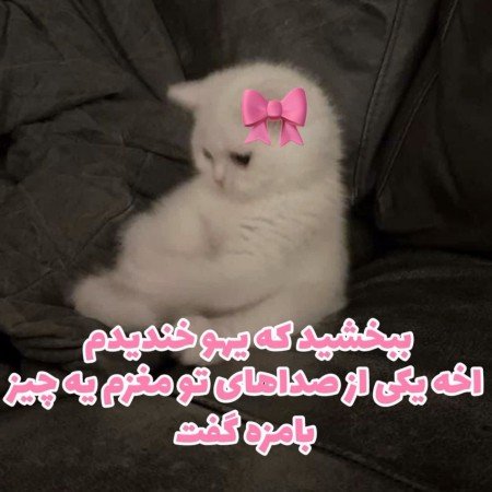  عکس جوجه کیوت کارتونی