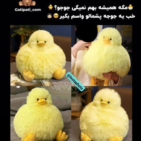  عکس جوجه کیوت کارتونی