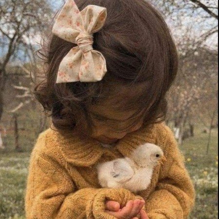  عکس جوجه برای پروفایل کیوت