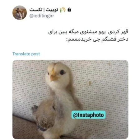  عکس جوجه برای پروفایل کیوت