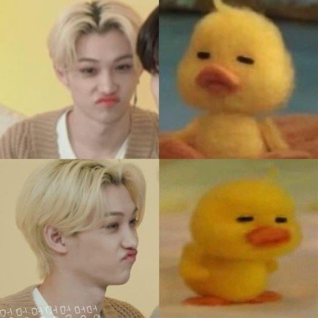  عکس جوجه برای پروفایل کیوت