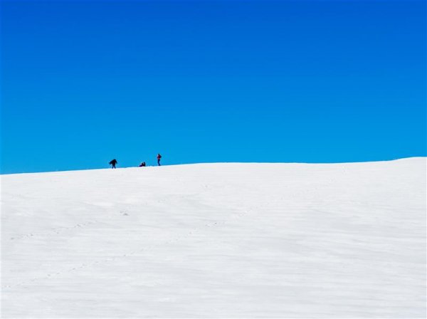  عکس مینیمال جنگل