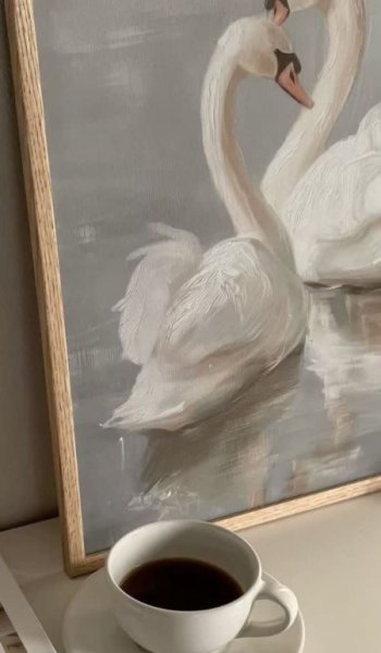  عکس حیوان مینیمال