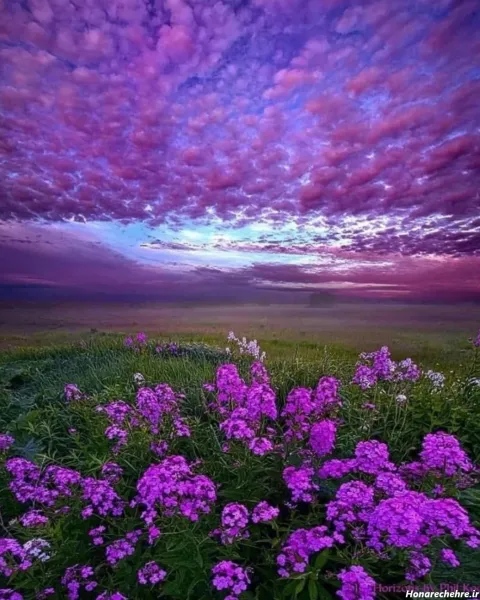  والپیپر طبیعت 4K