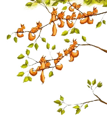  دانلود والپیپر طبیعت 4k