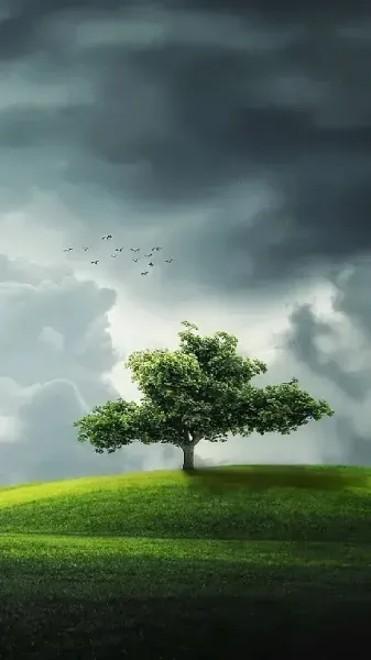  دانلود والپیپر طبیعت 4k