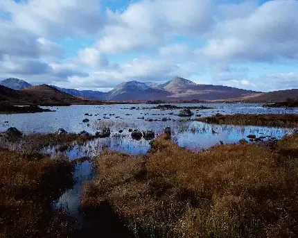  دانلود والپیپر طبیعت 4k