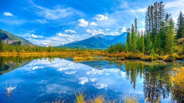  دانلود والپیپر طبیعت برای کامپیوتر full hd