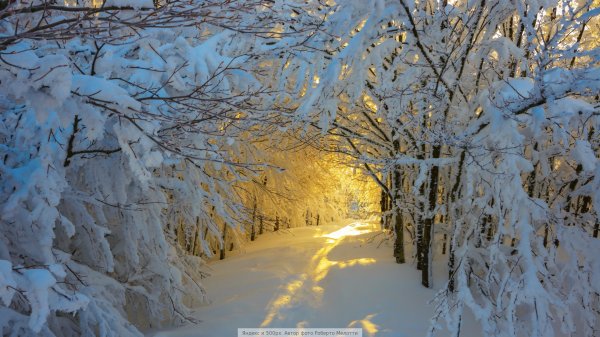  دانلود والپیپر طبیعت برای کامپیوتر full hd