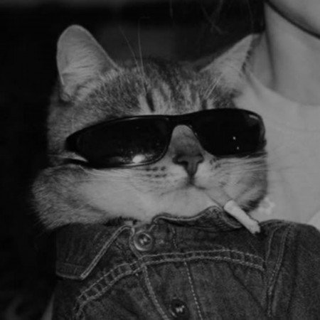  عکس گیمینگ با کیفیت