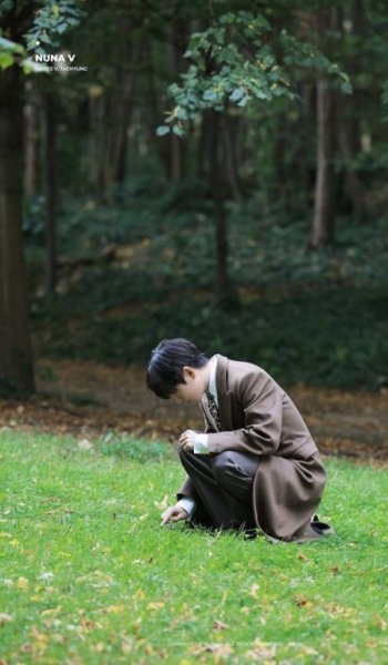  دانلود والپیپر طبیعت 4k برای کامپیوتر