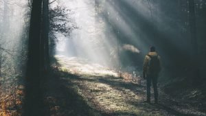  دانلود عکس طبیعت با کیفیت بالا 8k برای کامپیوتر