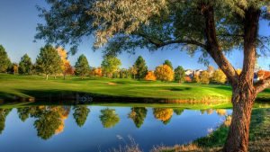  دانلود عکس طبیعت با کیفیت بالا 8k برای کامپیوتر