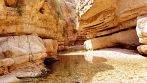  دانلود عکس طبیعت با کیفیت بالا 8k برای کامپیوتر