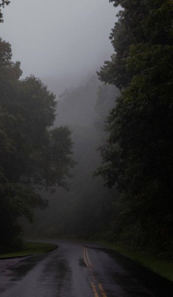  دانلود والپیپر 4k طبیعت