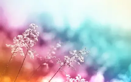  والپیپر طبیعت 4k برای کامپیوتر