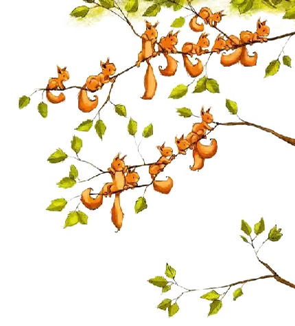  والپیپر طبیعت 4k برای کامپیوتر