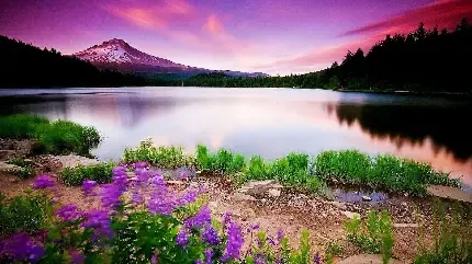  والپیپر 4k طبیعت برای گوشی