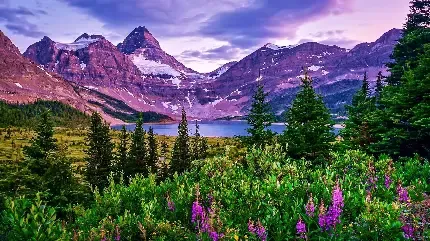  والپیپر 4k طبیعت برای گوشی