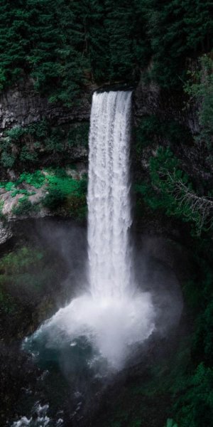 تم طبیعت برای گوشی