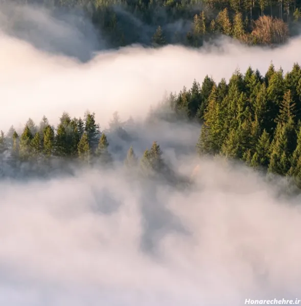  تصویر طبیعت 4k