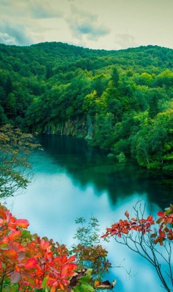  عکس طبیعت 4k