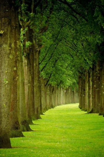  عکس طبیعت 4k