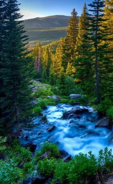  عکس طبیعت 4k