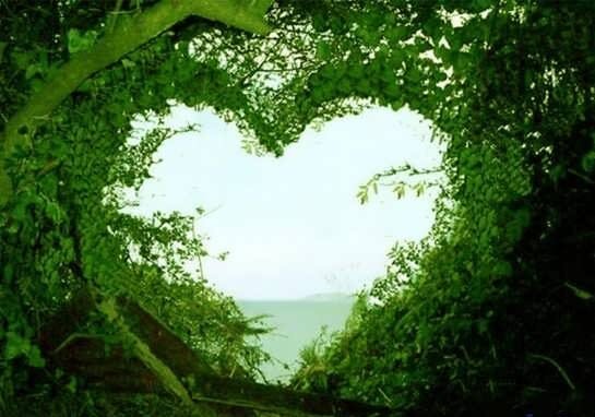  عکس طبیعت برای استوری