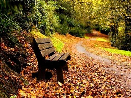  عکس طبیعت برای استوری