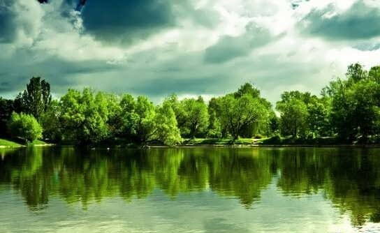  عکس طبیعت ساده