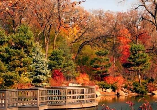  عکس طبیعت ساده