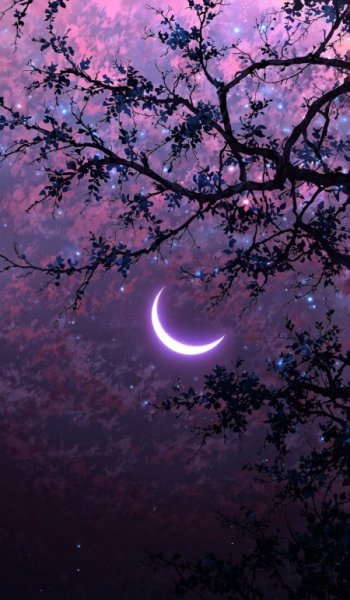  عکس طبیعت فیک برای استوری