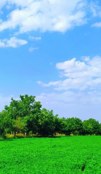  عکس طبیعت فیک برای استوری