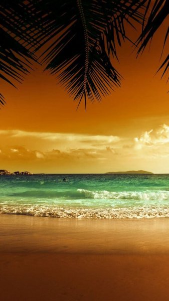  طبیعت زیبا 4k