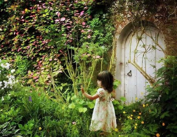 عکس طبیعت فورکی