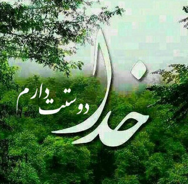  عکس طبیعت فورکی