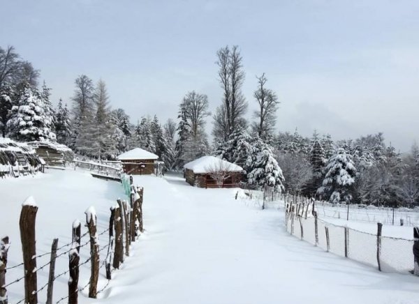  عکس طبیعت فورکی