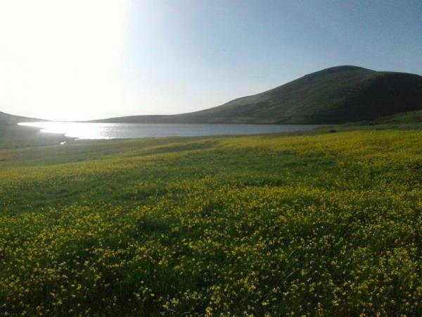  طبیعت زیبای ایران