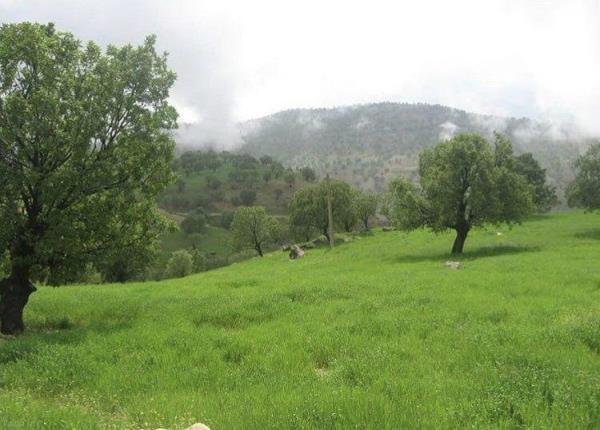  طبیعت زیبای ایران