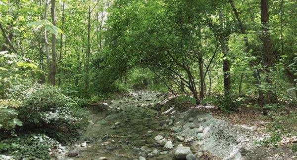  طبیعت زیبای ایران