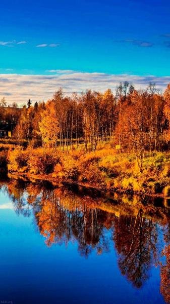  طبیعت زیبای ایران